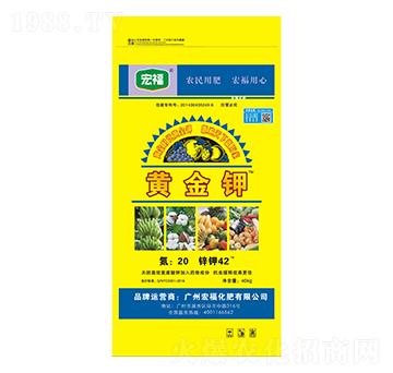 �S���-�������