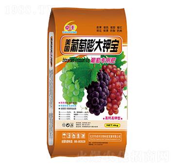 �������⛌�-�����ʘI(y��)