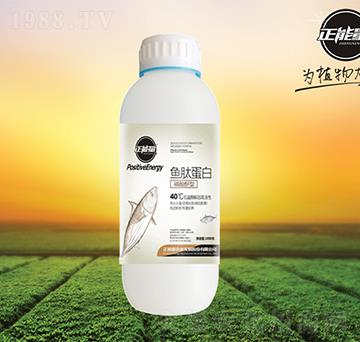 �~�ĵ��ף�ƿ��-������-������