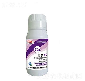 �ЙC�Ǵ������}��-�����}-ϲ����