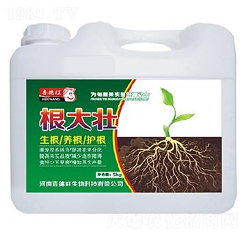 �����-ϲ����