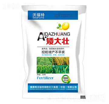 �����-�|��