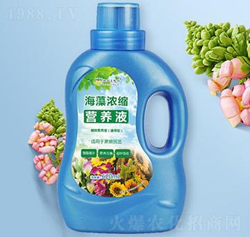 �����s�I(y��ng)�B(y��ng)Һ-���ֶ����