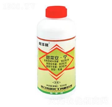 160��ÿ����˰�����-�|�L����