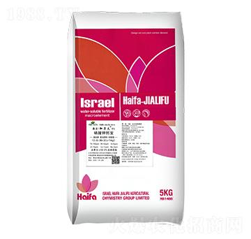 ������}��-����������5̖(h��o)-����������