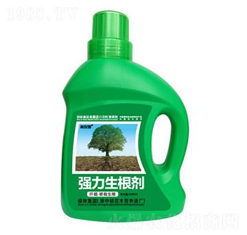 1000mlǤ�塤����������(qi��ng)��������-�ֱ�ķ-�T�ַ���