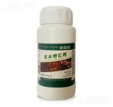 �ݱ����L(zh��ng)��-�ֱ�ķ-�T�ַ���