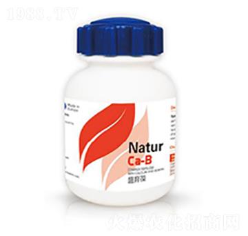 ʢ����-�{��