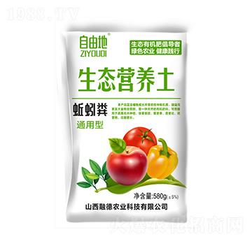 ���Sͨ����-���B(t��i)�I�B(y��ng)��-�ڵ��r�I(y��)