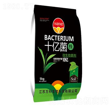 ʮ�|���꣨10�|����-�f��