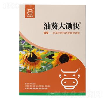 �Ϳ����z��-���A����