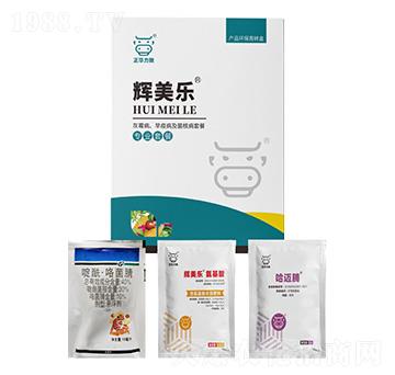 ��ù�������߲������˲��ײ�-�x����-���A����