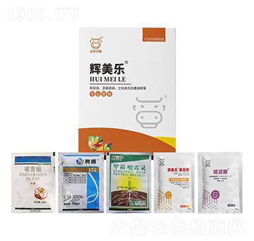 ���������o�����������ݲ�����ή���ײ�-�x����(l��)-���A����