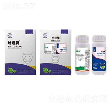 �E�R�����M���ײ�-���~�v-���A����