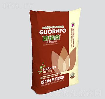 ����΢΢�������-�t����