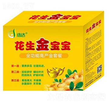 ����������-���_(d��)����