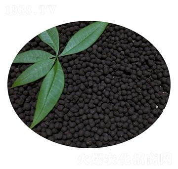 ����u�S��-�T������