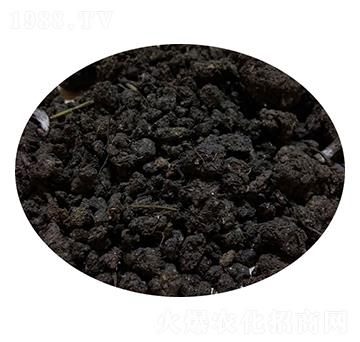 ����S��-�T������