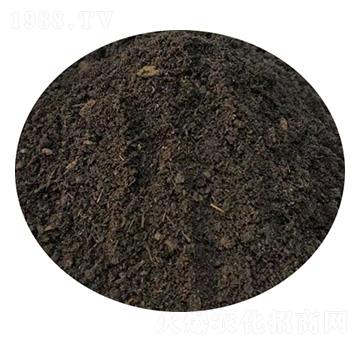 ţ�S-ʥ������