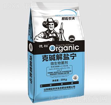 微生物菌劑-克堿解鹽寧-耕耘農(nóng)夫