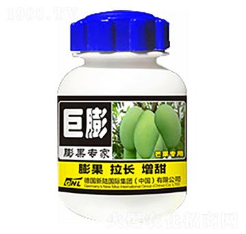 â�������(zhu��n)��-����-�»�