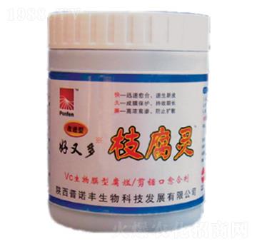 ���ֶ�֦���`-���Z�S