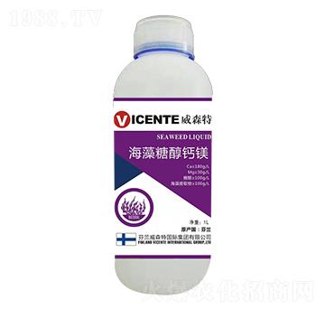 �����Ǵ��}�V-���ֺ�