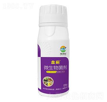 �E�R����-�P�E-�ֳ�Ԫ-�֠���(y��u)