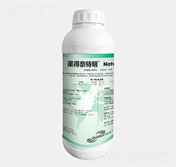 ����������-��������