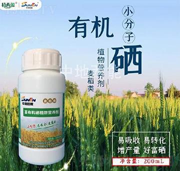 �����(l��i)���ЙC(j��)��ֲ��I(y��ng)�B(y��ng)��-�е�����