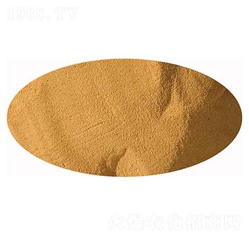 1200�|ԭ���N-�l(f��)ؔ��