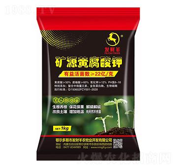 �VԴ�S�����-�l(f��)ؔ��