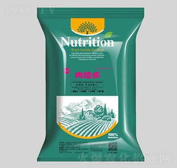 5�|���ԭ��l(f��)��΢�������-������-������