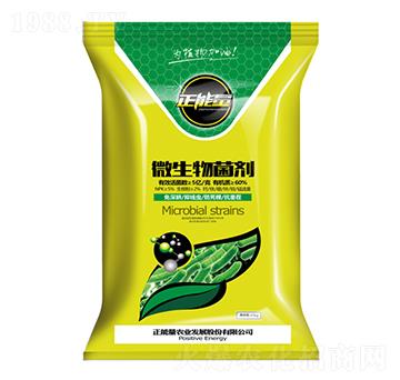 5�|���΢�������-������