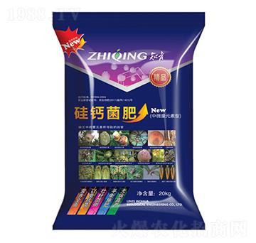 ��΢��Ԫ���͹��}����-������