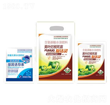 �S�~��������ͻ��`+�����T����-�ֵϾ�