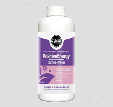 1300g�����}�V��-