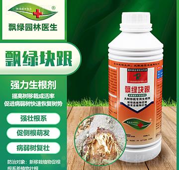 ������Ԍ���������-�h�G�K��-�h�G