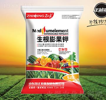 ��������-֪��-������