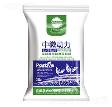 ��΢����-������