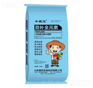 ���a(b��)ȫԪ��-�S�댚-�˰�