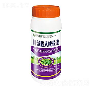 500ml�~�������L��-����