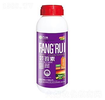�|̦��-����