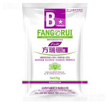 ������B(y��ng)-����