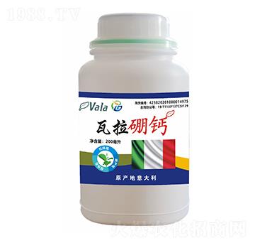 �������}-��ϲ������