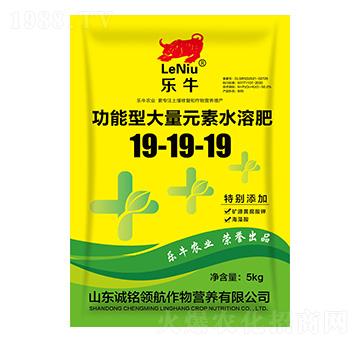 功能型大量元素水溶肥料19-19-19-樂牛-誠銘領航