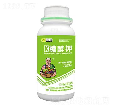 �Ǵ��-�ڵÌ�����