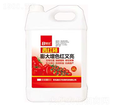 ���t�������ɫ�t����-嫘���