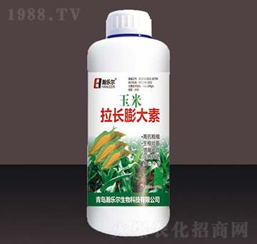 �������L(zh��ng)�����-嫘���