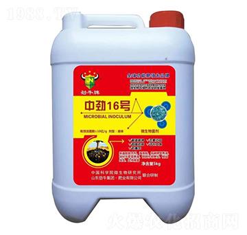 �Є�16̖(h��o)΢�������-��ţ